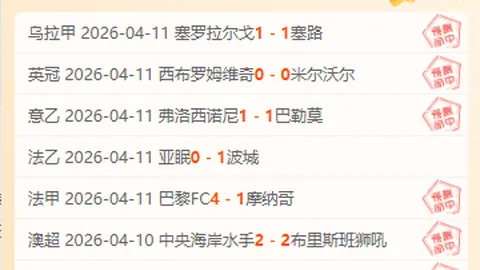 苏比主场强势崛起，8胜6佳绩闪耀！弗罗卜遇强敌，精彩对决即将上演！